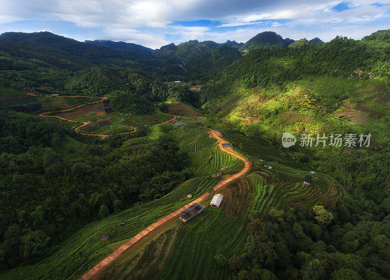 清迈Doi Ang Khang的茶园美丽的早晨空中景观，